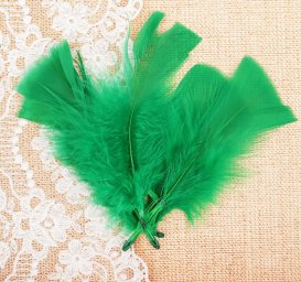 Набор перьев для декора 10 шт, размер 1 шт 104 цвет светло зеленый